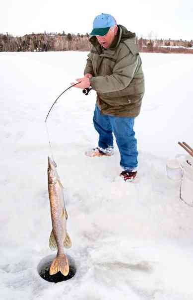 щука в лунке