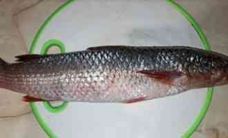 подготовленная рыба