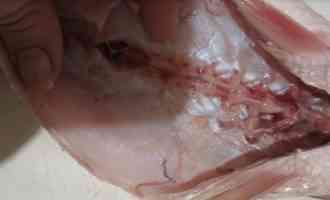 очистка внутренностей