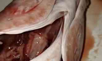 удаление жабр