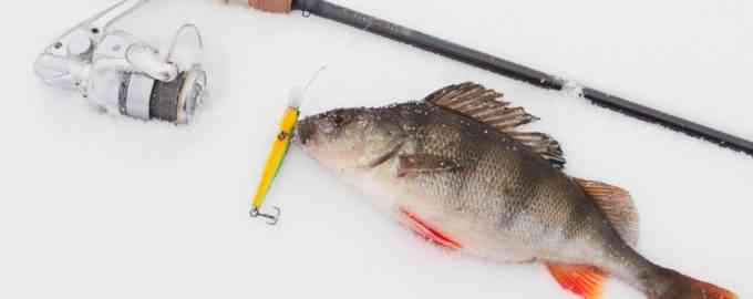 ловля окуня зимой