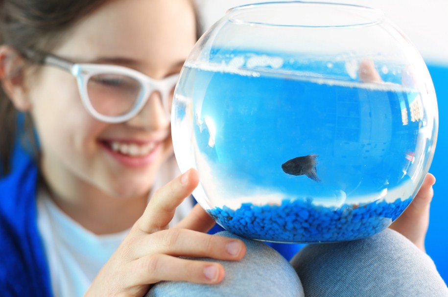 маленький аквариум