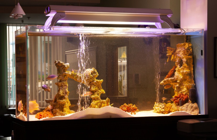 где ставить аквариум 