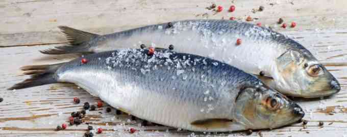 полезна ли сельдь