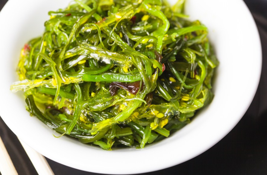 водоросли чука