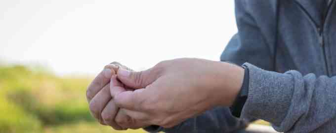 насадка на крючке