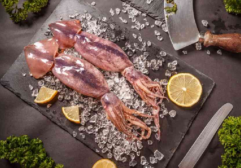 пара кальмаров