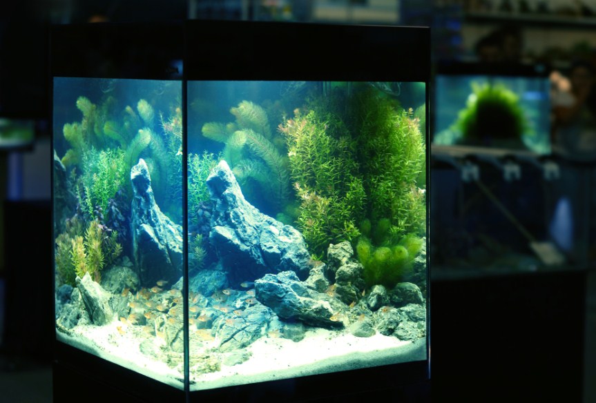 где надо ставить аквариум