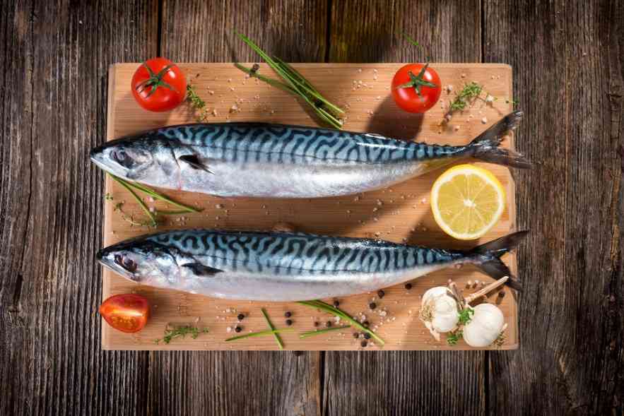 две скумбрии