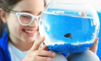 размещение аквариума