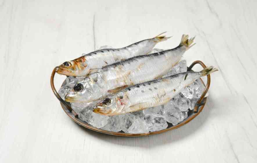 внешний вид иваси 