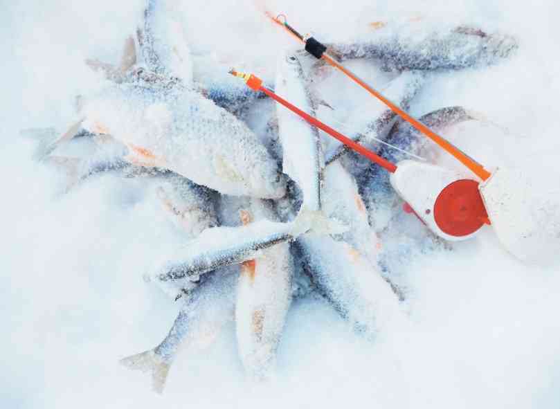 как ловить карася