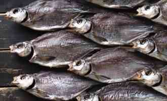 как вялить рыбу