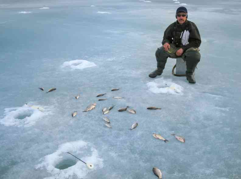 пойманная рыба 