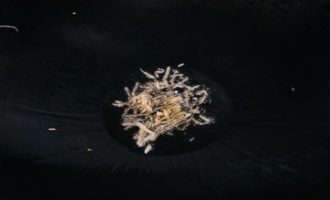 обжариваем имбирь