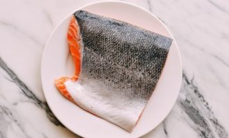 кусок филе лосося