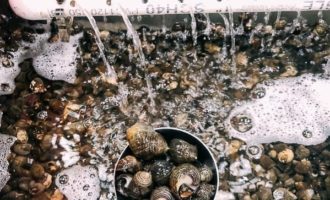 промываем улиток