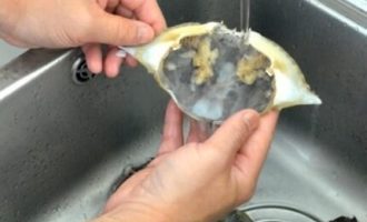 промываем панцири