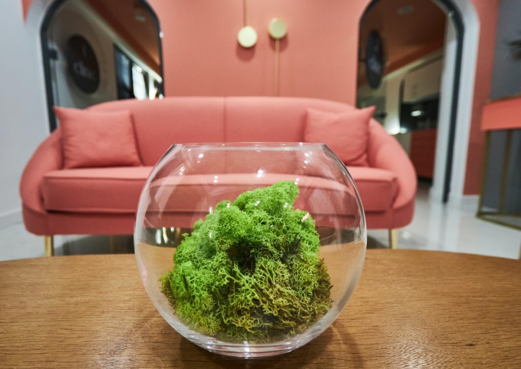 аквариум с растениями 