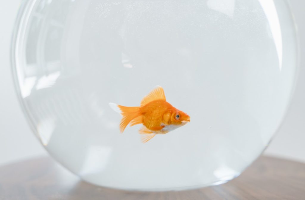 круглый аквариум 