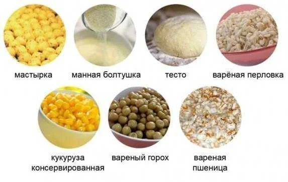 Правильная ловля карася на удочку