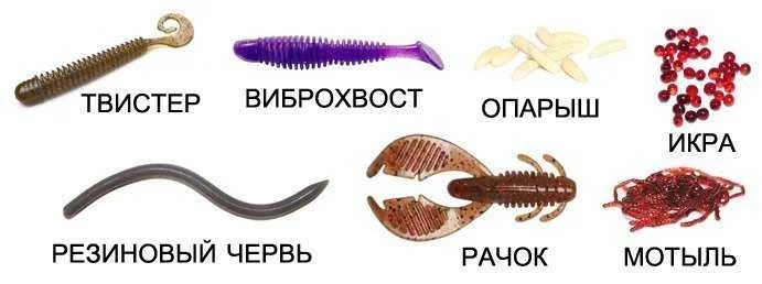 Ловля сазана