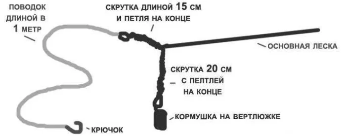 Ловля сазана на фидер