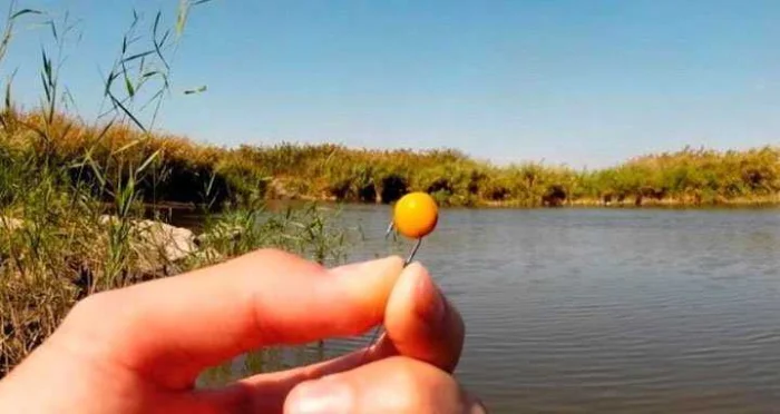 Ловля крупного леща