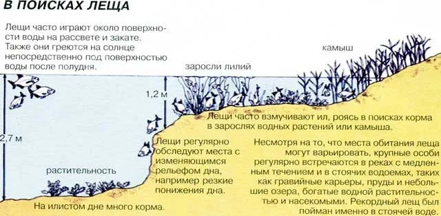 Успешная рыбалка в мае: где искать рыбу и как ее поймать
