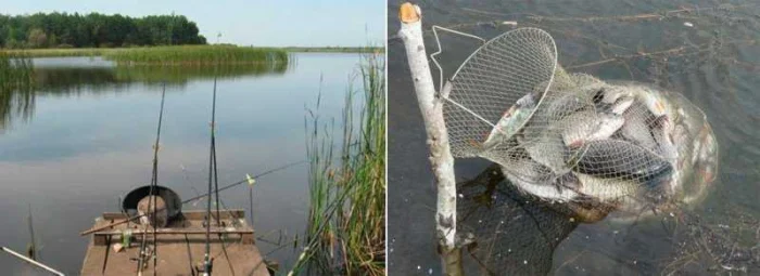 Ловля крупного карася