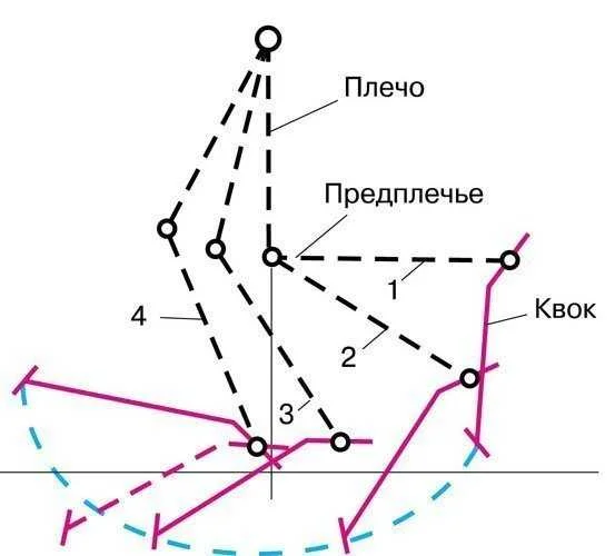 Квок на сома своими руками