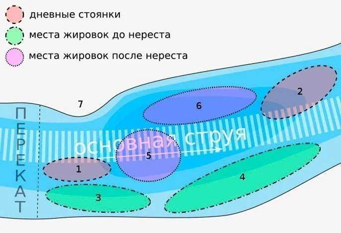 Ловля налима зимой