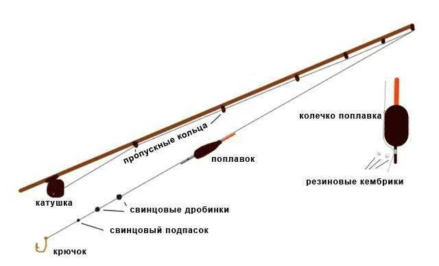 Правильная ловля карася на удочку