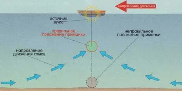 Квок на сома своими руками
