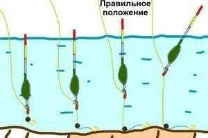 Ловля линя на поплавочную удочку