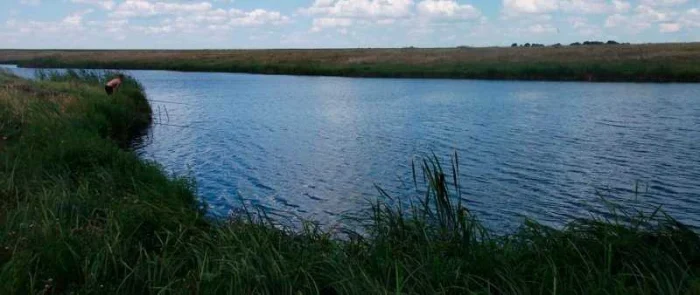 Ловля толстолоба со дна