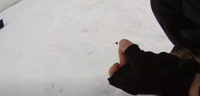 Самая эффективная насадка для ловли плотвы