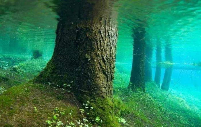 Какая лучшая погода для рыбалки