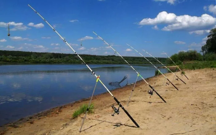 Ловля форели на пасту
