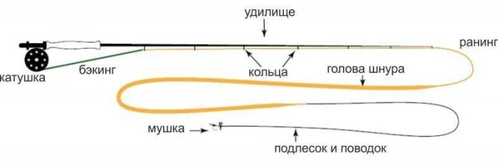 Ловля нахлыстом для начинающих