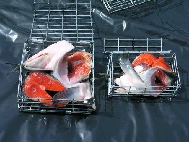 На что ловить раков в раколовке