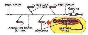 Ловля жереха на спиннинг