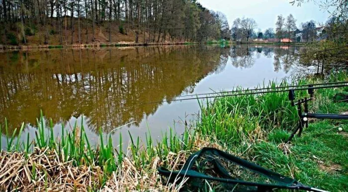 Ловля карпа на кукурузу