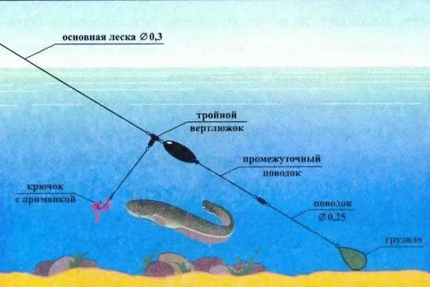 Ловля сома на червя-выползка