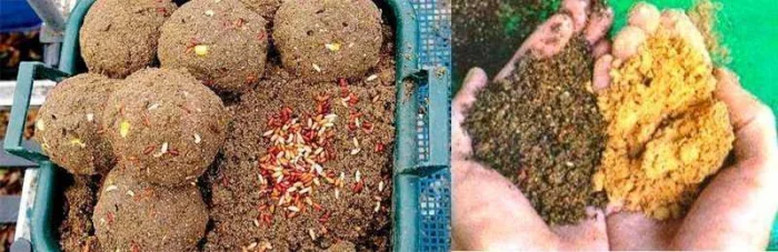Ловля карася осенью