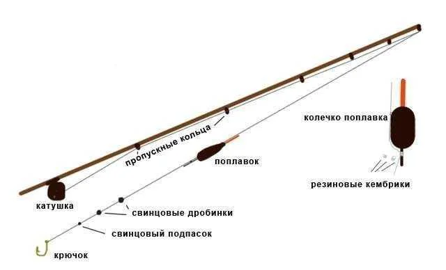 Ловля линя на поплавочную удочку