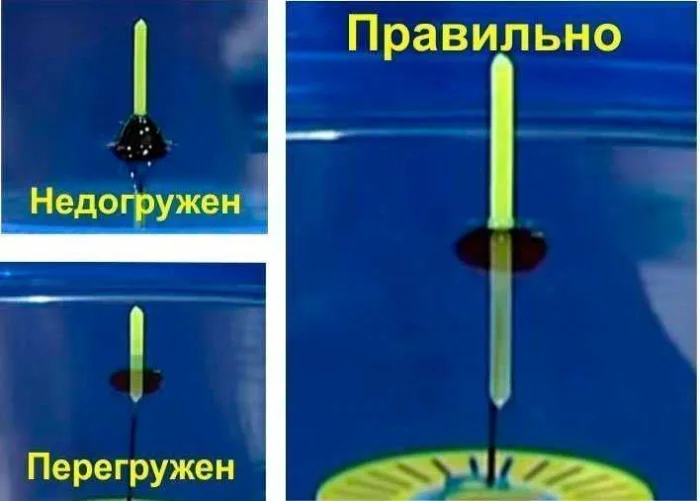 Правильная ловля карася на удочку