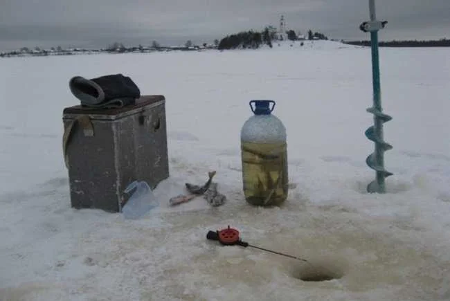 Как поймать живца