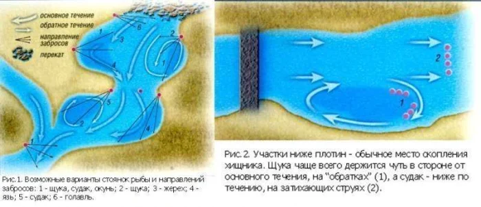 Выбор места рыбалки на реках и озерах