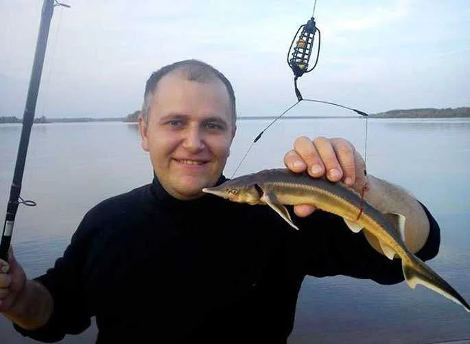 На что ловить стерлядь